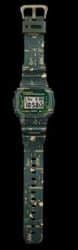 CASIO DWE5600CC-3