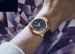 241955 Victorinox Watches