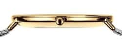 Bering Classic