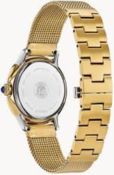 Citizen Eco Drive