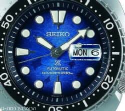 SRPE39